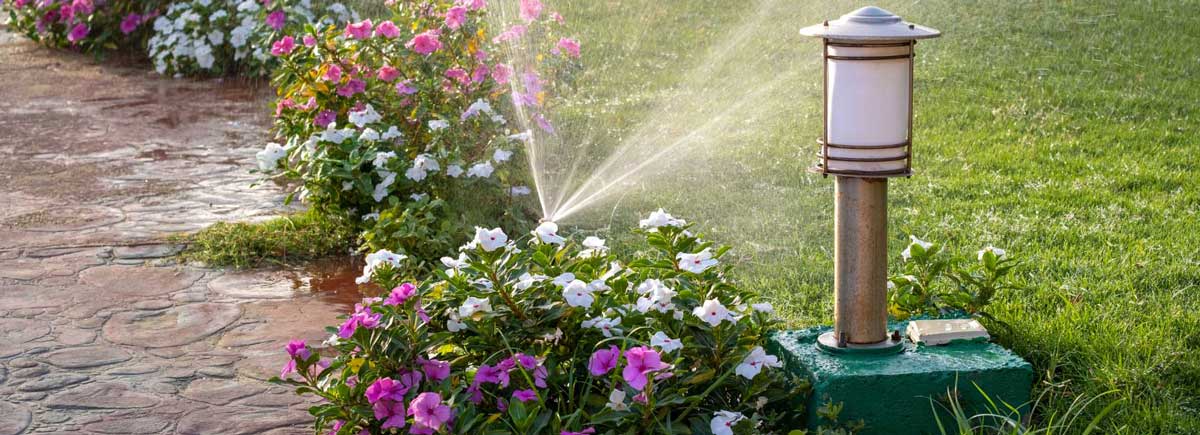 Lawn with sprinklers running